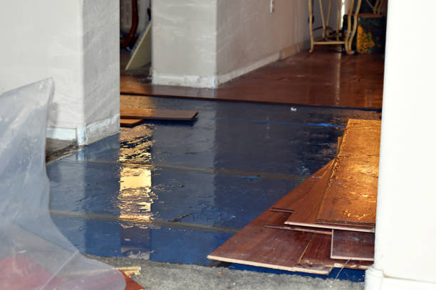 Professional Basement Water Removal technician working in Aquebogue, NY